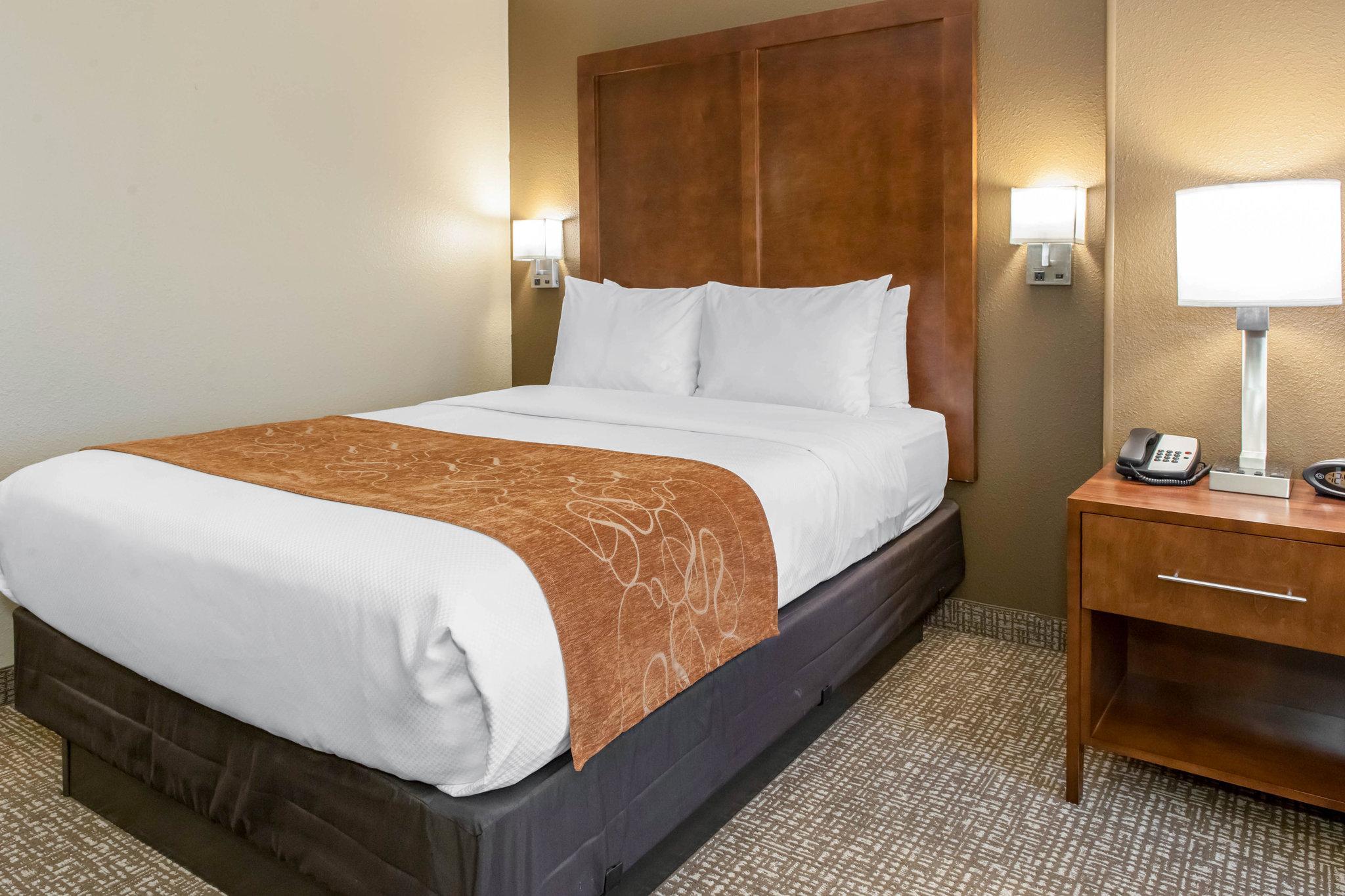 คอมฟอร์ต สวีท เทราโฮต ยูนิเวอร์ซิตี้แอเรีย Hotel Terre Haute ภายนอก รูปภาพ